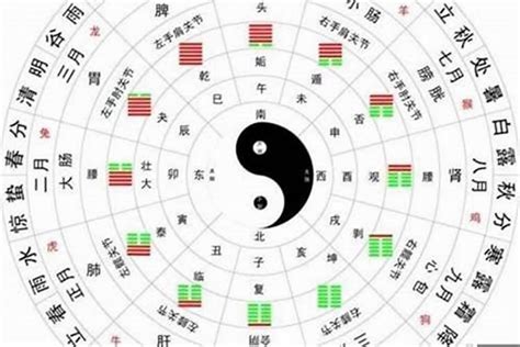 八字 五行屬性|〈劍靈命理網〉八字算命解析/行運論斷